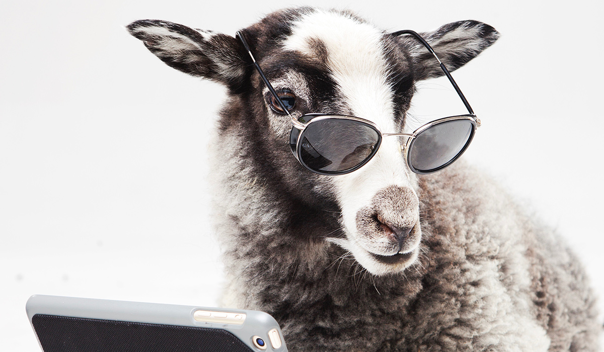 代理店の皆様へ